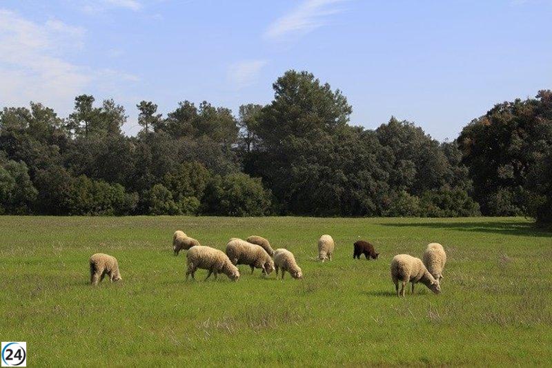 La Junta paga 28,6 millones en solicitudes únicas a 35.281 beneficiarios.