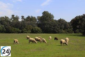 La Junta paga 28,6 millones en solicitudes únicas a 35.281 beneficiarios.