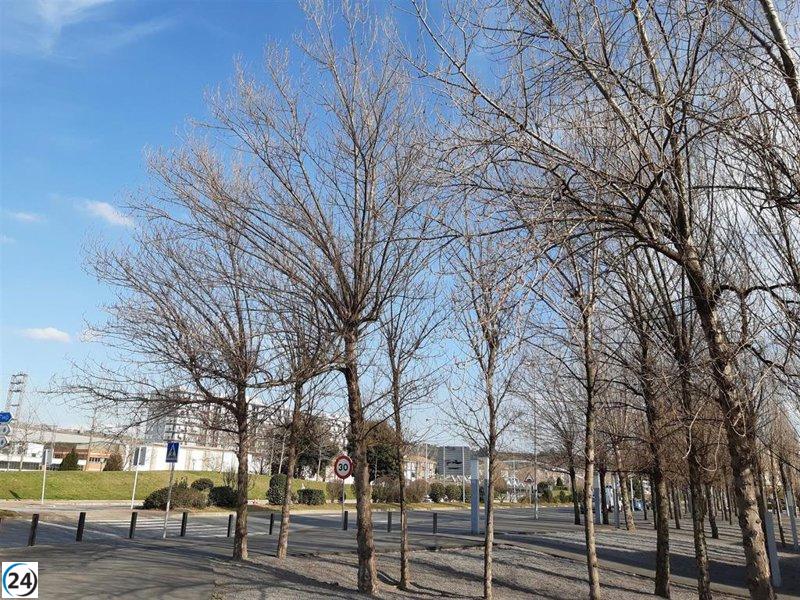 Posible lluvia y descenso de temperatura en Extremadura hoy.
