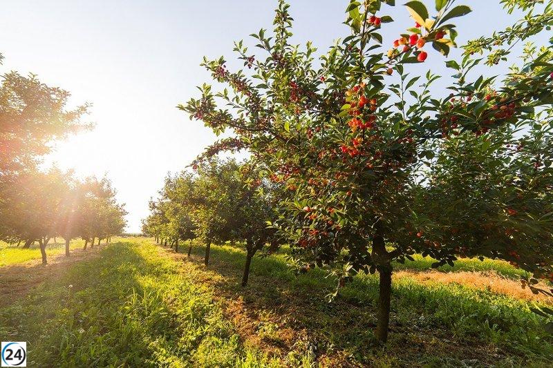 Extremadura espera un día soleado este 24 de abril de 2023.