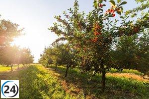 Extremadura espera un día soleado este 24 de abril de 2023.