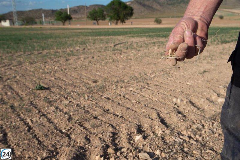 El Gobierno reduce IRPF en un 25% para asistir a agricultores y ganaderos por sequía.