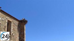 Extremadura: Lluvias y tormentas a lo largo del día de hoy según pronósticos