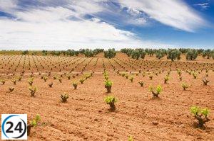 La Junta de Extremadura solicita destilación de crisis para apoyar vitivinicultura.