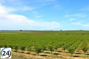 La Junta paga 9 millones de euros en ayudas agroambientales a agricultores extremeños.