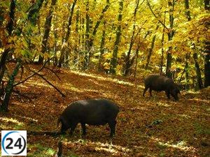 Se aprueba plan de turismo gastronómico en Tierras de Cáceres y Trujillo