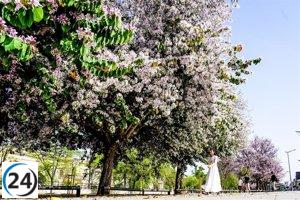 No llueve en Extremadura hoy, jueves 11 de mayo de 2023 - Previsión del tiempo conservador
