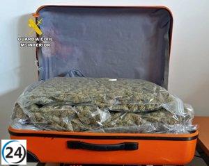 Tres narcotraficantes detenidos en Badajoz y Mérida con importante cantidad de drogas