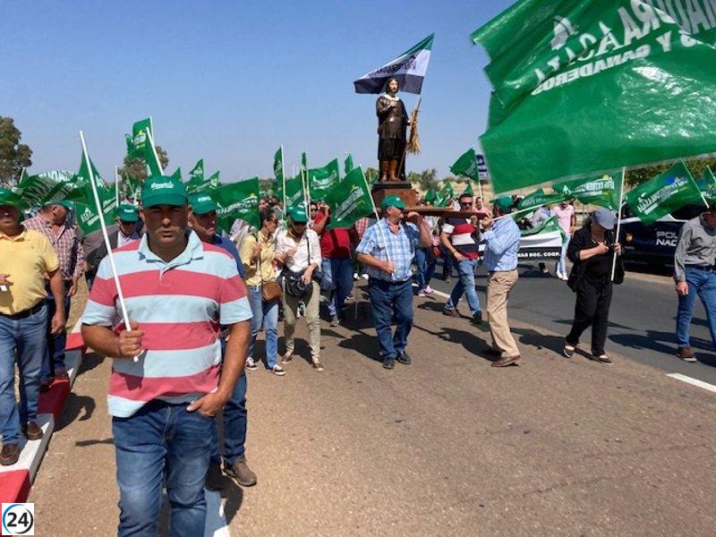 Más de 500 personas piden ayudas directas por la sequía en Mérida.