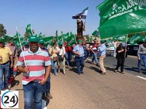 Más de 500 personas piden ayudas directas por la sequía en Mérida.