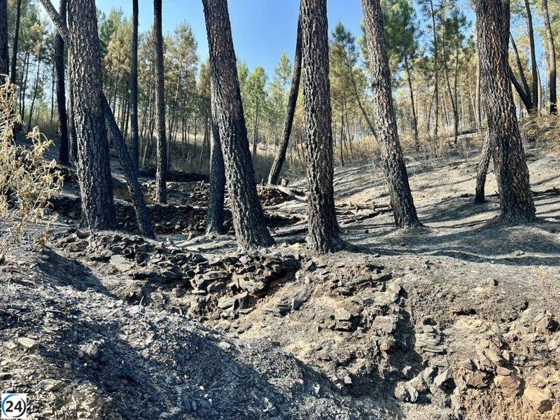 Las Hurdes y Sierra de Gata están controlados tras el incendio.
