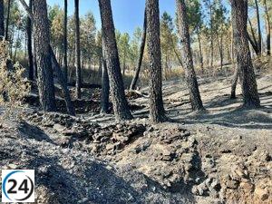 Las Hurdes y Sierra de Gata están controlados tras el incendio.