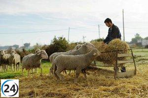 La Junta convoca ayudas de 2,5 millones de euros para inversiones agroindustriales.