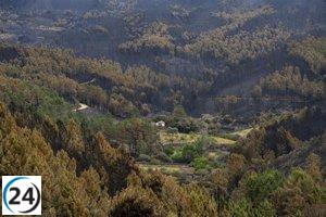 Devastador incendio en Las Hurdes y Gata: más de 10.000 hectáreas arrasadas
