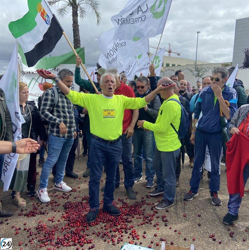 Cereceros del norte de Cáceres piden ayudas y mejora de seguros en concentración en Mérida.