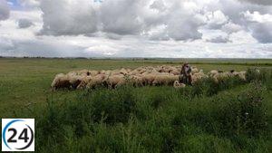 Científicos de Extremadura lideran iniciativa para preservar la naturaleza mediante la revitalización del pastoreo