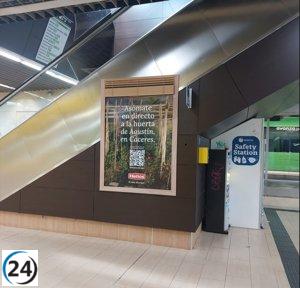 Helios estrena ventanas al campo en Madrid para admirar sus propios huertos de tomates en Extremadura.