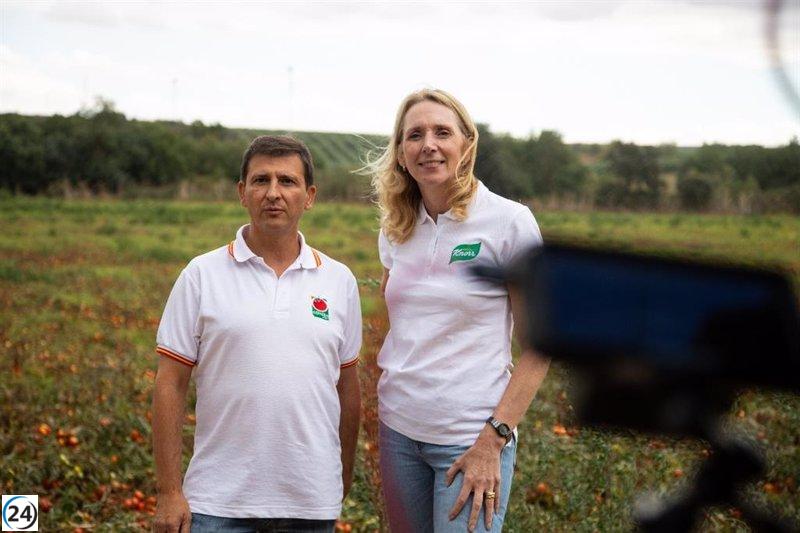Unilever y Grupo Conesa se unen para impulsar la producción de tomates sostenibles en Extremadura usando técnicas agrícolas regenerativas.