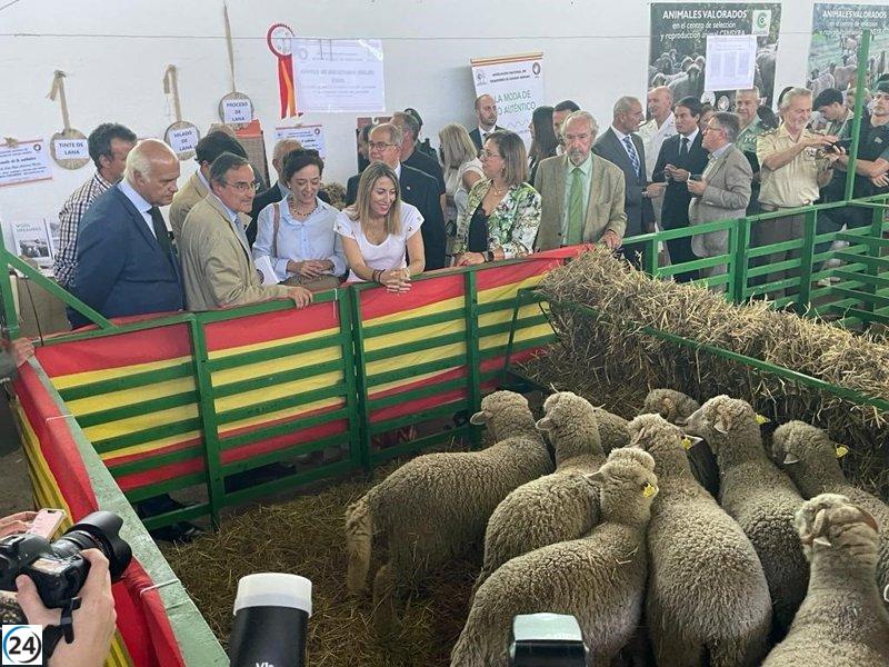 Zafra, epicentro del país en el sector ganadero gracias a la Feria Internacional Ganadera hasta el martes.