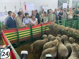 Zafra, epicentro del país en el sector ganadero gracias a la Feria Internacional Ganadera hasta el martes.