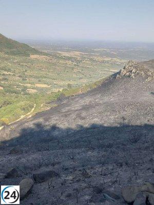 El Plan Infoex atiende 48 sucesos en Extremadura, incluyendo 13 incendios forestales.