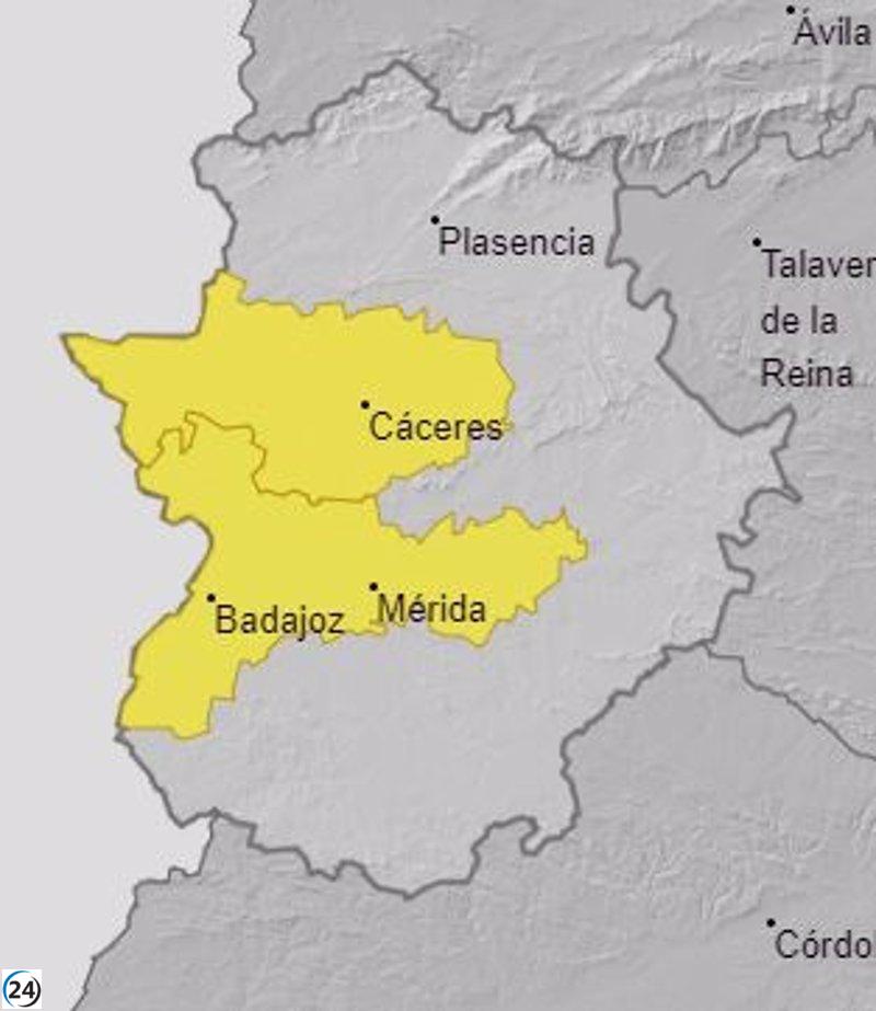 Alerta amarilla por niebla en el oeste de Extremadura este viernes