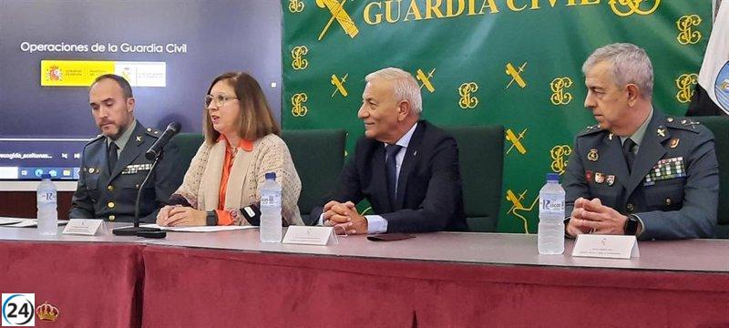 Denuncian incremento de robos de aceitunas en campo extremeño, pero disminuye cantidad sustraída