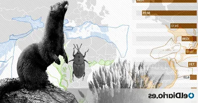 El peligro de la introducción de especies invasoras en el ecosistema extremeño