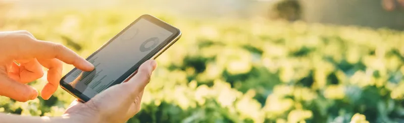 El papel de la tecnología en la lucha contra el cambio climático en Extremadura