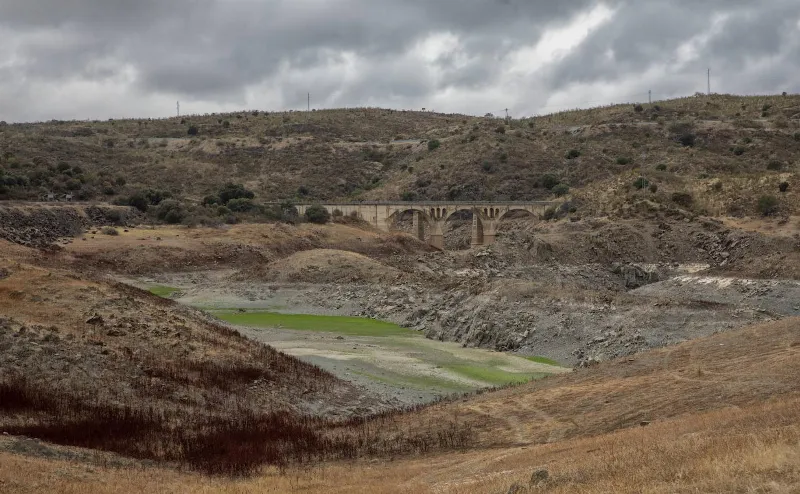 Cambio climático afecta a la biodiversidad en Extremadura