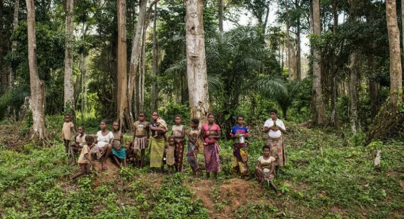 La importancia de proteger los bosques extremeños